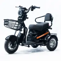 Трицикл акумуляторний Forte S1-P600 (600 Вт, 60В/20Аг, чорний)