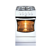 Газовая плита Hansa FCGW 50000011