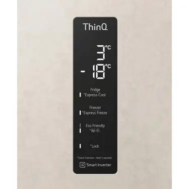 Холодильник LG GC-B509MEWM