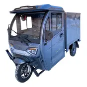 Вантажний електротрицикл Dozer Model 8Б закритий (2000 W / 72 V / 45 Ah)