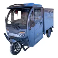 Грузовой электротрицикл Dozer Model 8Б закрыт (2000 W/72 V/45 Ah)