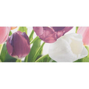 Декор 20*50 Tulip 2 PN